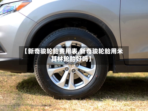 【新奇骏轮胎费用表,新奇骏轮胎用米其林轮胎好吗】-第3张图片