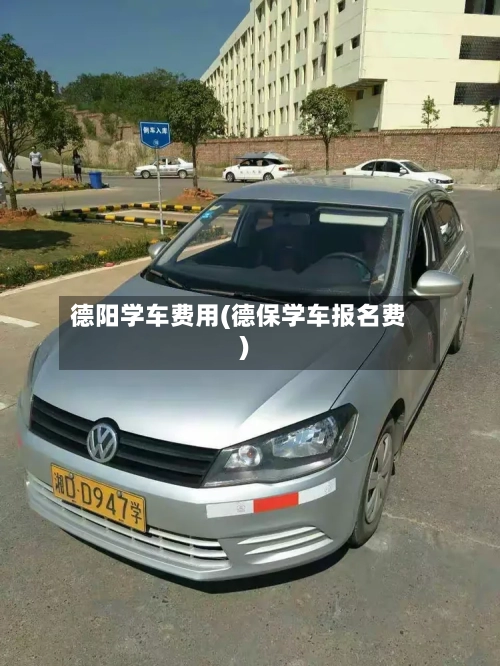 德阳学车费用(德保学车报名费)-第2张图片