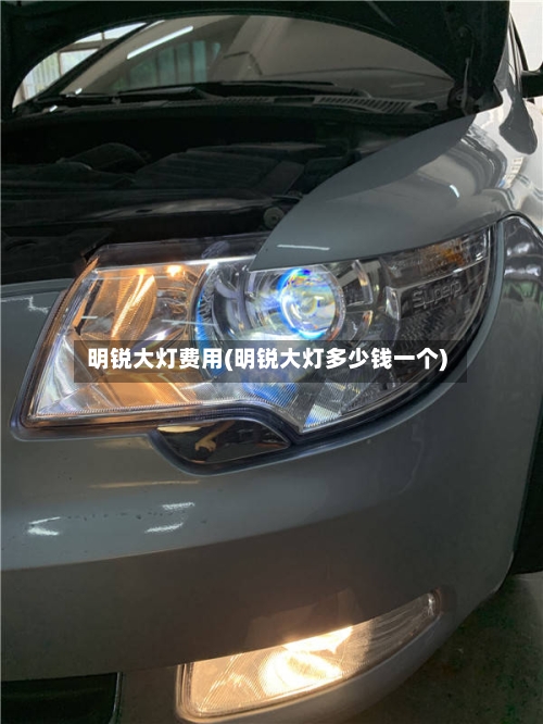 明锐大灯费用(明锐大灯多少钱一个)