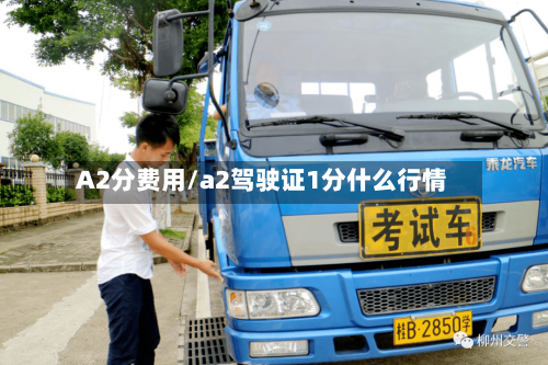 A2分费用/a2驾驶证1分什么行情-第2张图片