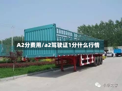A2分费用/a2驾驶证1分什么行情