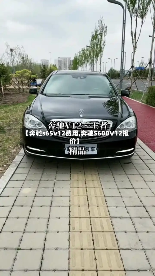 【奔驰s65v12费用,奔驰S600V12报价】-第2张图片