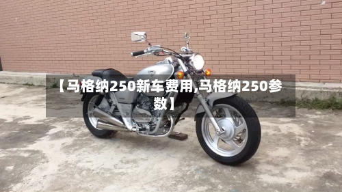 【马格纳250新车费用,马格纳250参数】