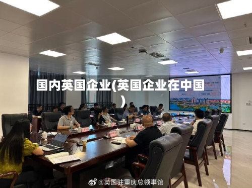 国内英国企业(英国企业在中国)