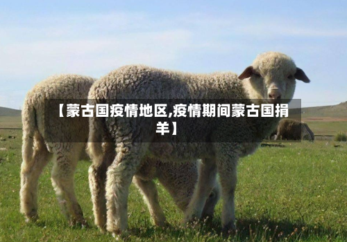 【蒙古国疫情地区,疫情期间蒙古国捐羊】-第2张图片