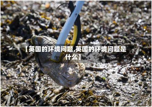 【英国的环境问题,英国的环境问题是什么】-第3张图片