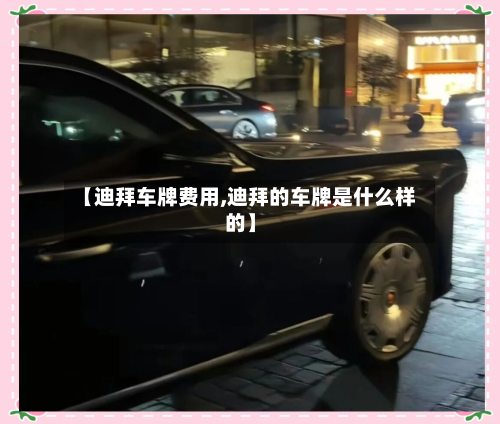 【迪拜车牌费用,迪拜的车牌是什么样的】