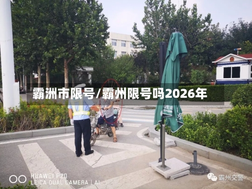 霸洲市限号/霸州限号吗2026年-第2张图片