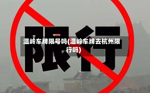温岭车牌限号吗(温岭车牌去杭州限行吗)-第3张图片