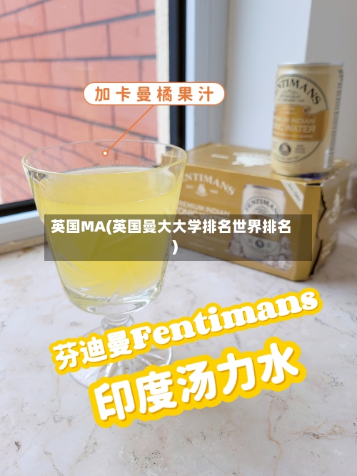 英国MA(英国曼大大学排名世界排名)-第2张图片