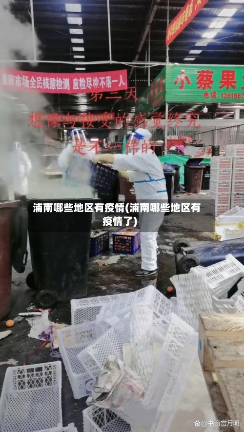 浦南哪些地区有疫情(浦南哪些地区有疫情了)-第3张图片