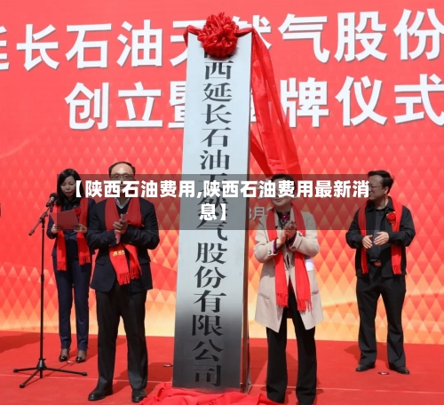 【陕西石油费用,陕西石油费用最新消息】