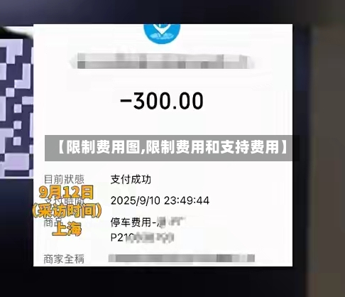 【限制费用图,限制费用和支持费用】