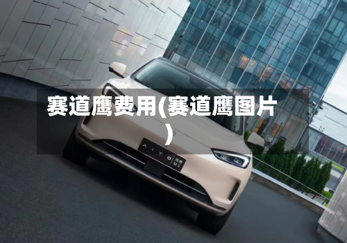 赛道鹰费用(赛道鹰图片)-第2张图片