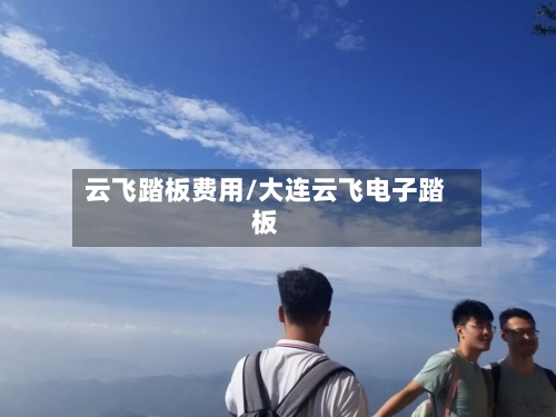 云飞踏板费用/大连云飞电子踏板