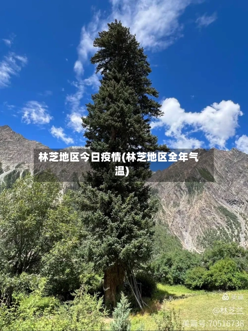 林芝地区今日疫情(林芝地区全年气温)