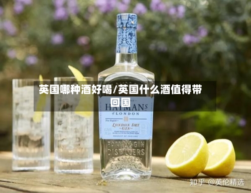 英国哪种酒好喝/英国什么酒值得带回国