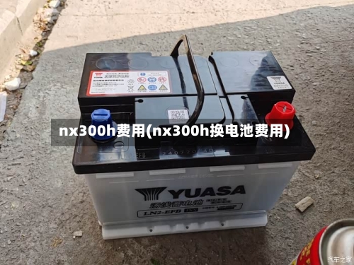 nx300h费用(nx300h换电池费用)-第3张图片