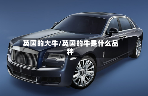 英国的大牛/英国的牛是什么品种