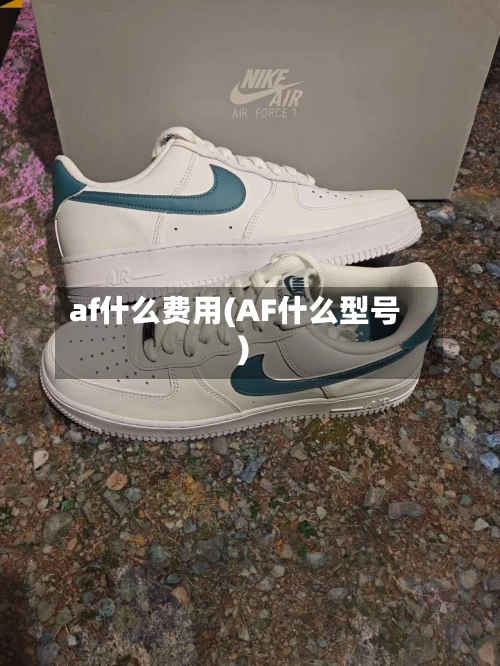af什么费用(AF什么型号)