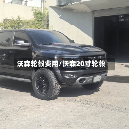 沃森轮毂费用/沃森20寸轮毂