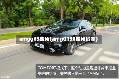 amgg65费用(amgGT50费用借鉴)-第2张图片