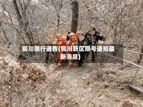 铜川限行通告(铜川新区限号通知最新消息)-第2张图片
