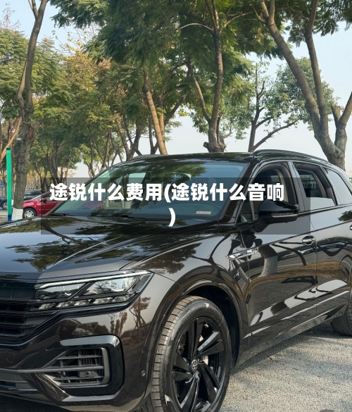 途锐什么费用(途锐什么音响)-第2张图片