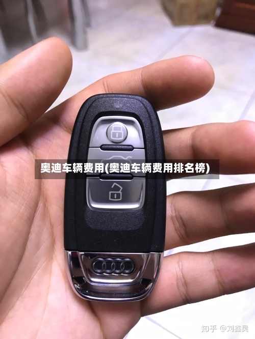 奥迪车辆费用(奥迪车辆费用排名榜)-第2张图片