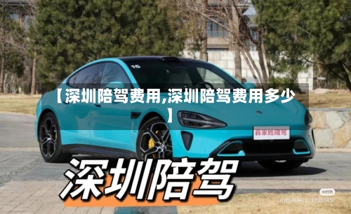 【深圳陪驾费用,深圳陪驾费用多少】