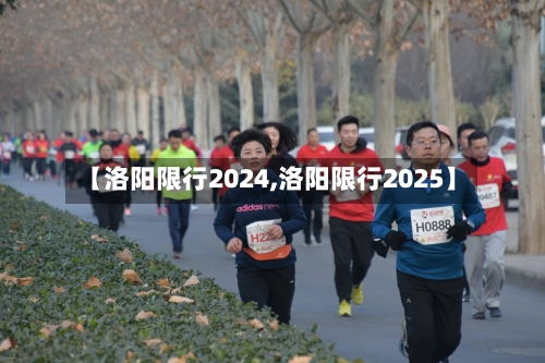 【洛阳限行2024,洛阳限行2025】
