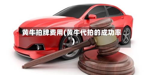黄牛拍牌费用(黄牛代拍的成功率)