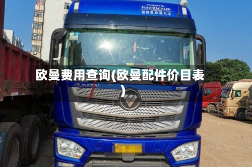 欧曼费用查询(欧曼配件价目表)-第2张图片