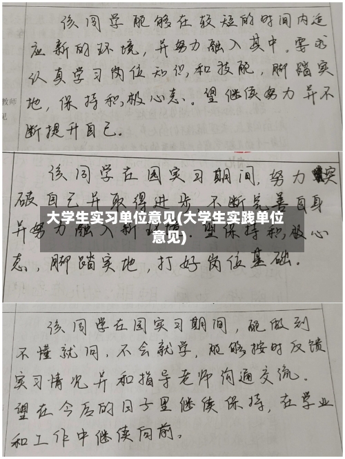 大学生实习单位意见(大学生实践单位意见)