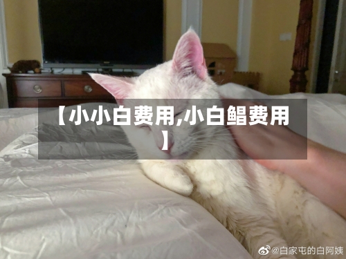 【小小白费用,小白鲳费用】