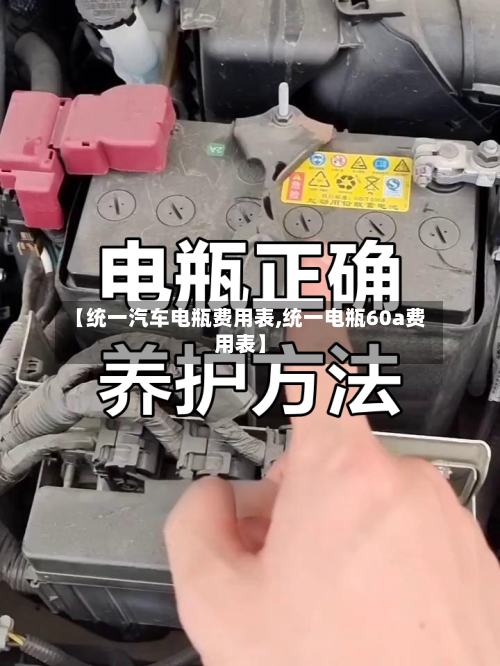 【统一汽车电瓶费用表,统一电瓶60a费用表】-第2张图片