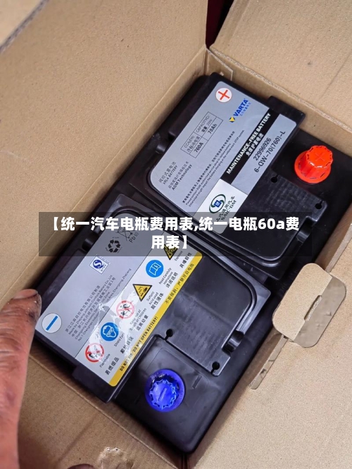 【统一汽车电瓶费用表,统一电瓶60a费用表】-第3张图片