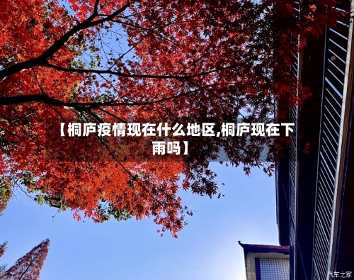 【桐庐疫情现在什么地区,桐庐现在下雨吗】-第3张图片