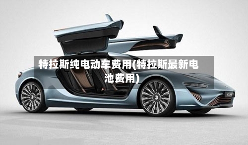 特拉斯纯电动车费用(特拉斯最新电池费用)-第2张图片