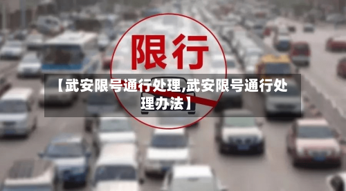 【武安限号通行处理,武安限号通行处理办法】