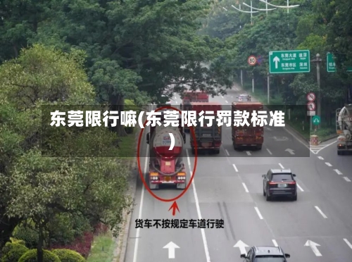 东莞限行嘛(东莞限行罚款标准)-第2张图片