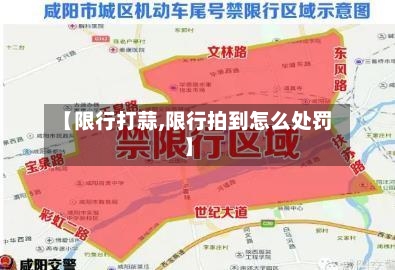 【限行打蒜,限行拍到怎么处罚】