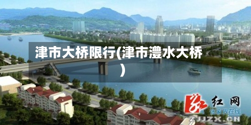 津市大桥限行(津市澧水大桥)-第2张图片
