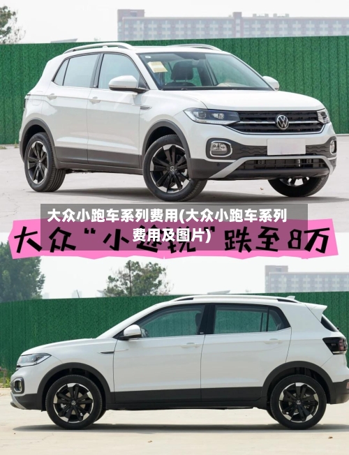 大众小跑车系列费用(大众小跑车系列费用及图片)-第2张图片