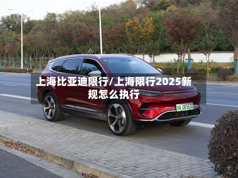 上海比亚迪限行/上海限行2025新规怎么执行