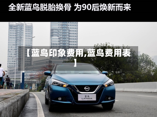 【蓝鸟印象费用,蓝鸟费用表】-第3张图片