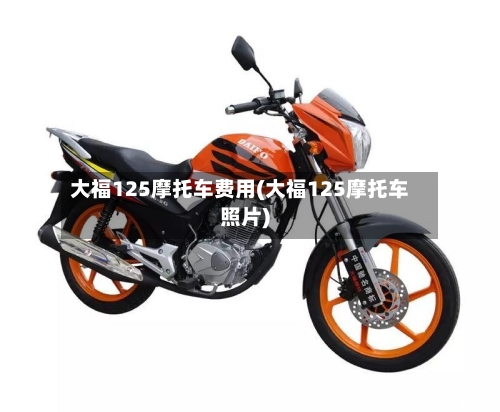 大福125摩托车费用(大福125摩托车照片)-第3张图片