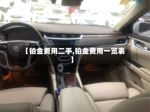 【铂金费用二手,铂金费用一览表】
