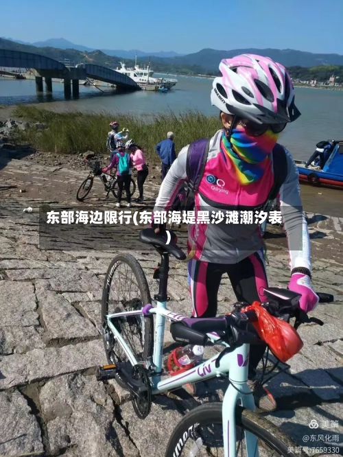 东部海边限行(东部海堤黑沙滩潮汐表)-第3张图片
