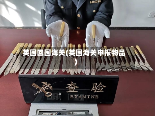 英国回国海关(英国海关申报物品)-第3张图片